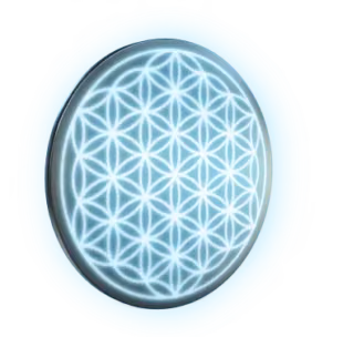 QNET